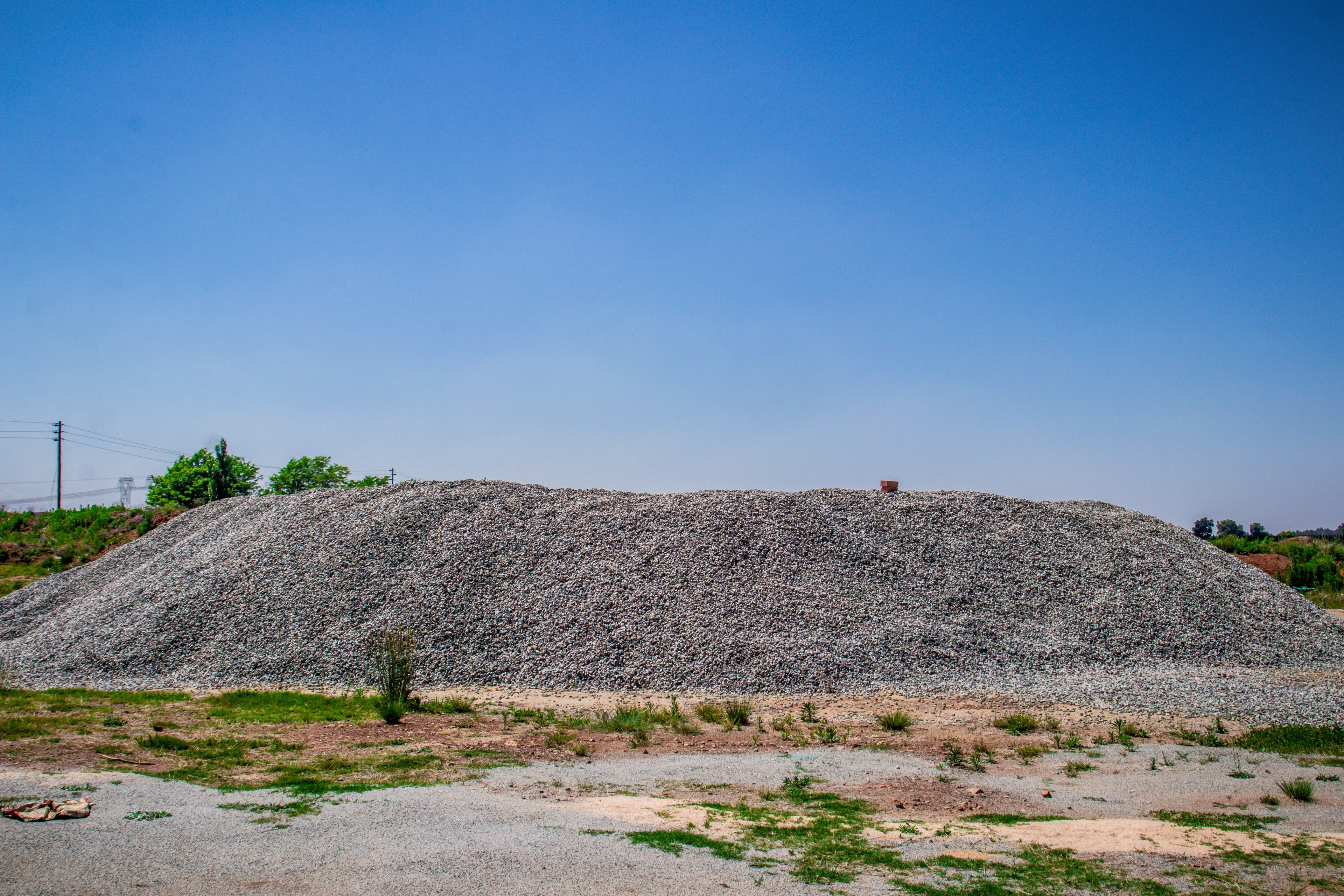 Lords' Signature detail 24