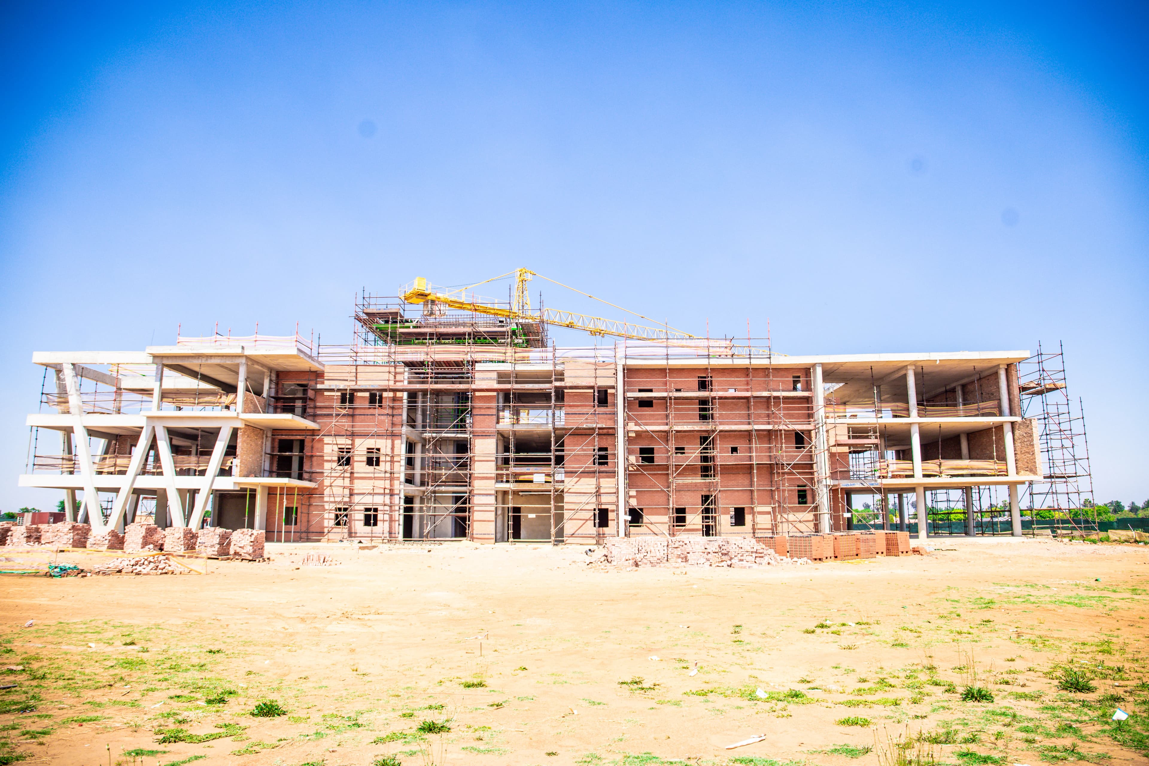 Lords' Signature detail 85